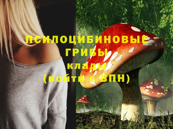 MDMA Premium VHQ Алзамай