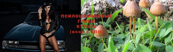 PSILOCYBIN Алексеевка