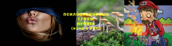мяу мяу мука Алексин