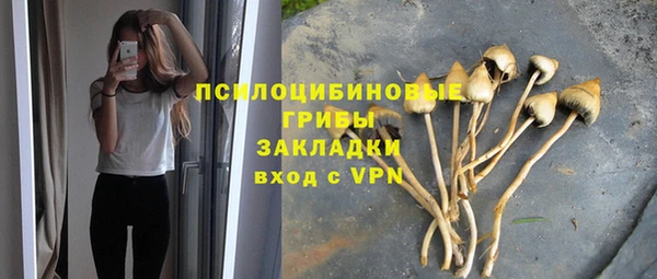 PSILOCYBIN Алексеевка
