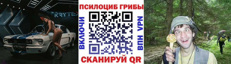 Псилоцибиновые грибы GOLDEN TEACHER  Медынь 