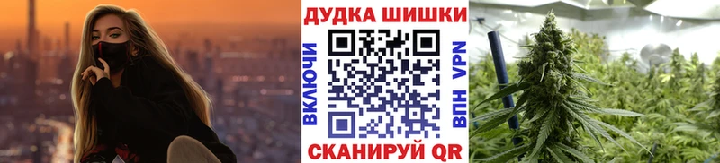 Марихуана сатива наркота Медынь
